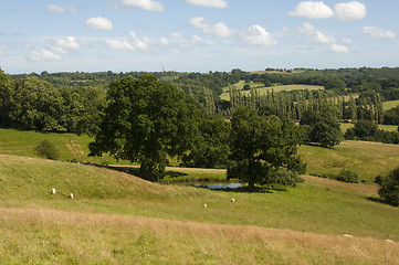 Image showing Rrural scene