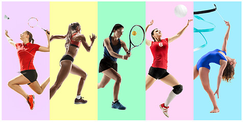 Image showing Sport collage about female athletes or players. The tennis, running, badminton, rhythmic gymnastics, volleyball.