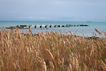 Image showing Autumn coast of the Caspian Sea.