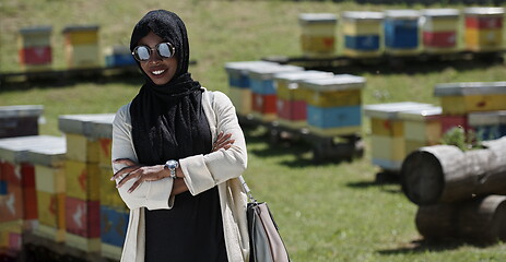 Image showing african muslim businesswoman portrait on small local honey production farm