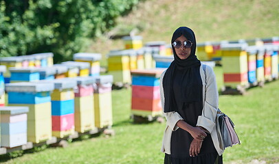 Image showing african muslim businesswoman portrait on small local honey production farm