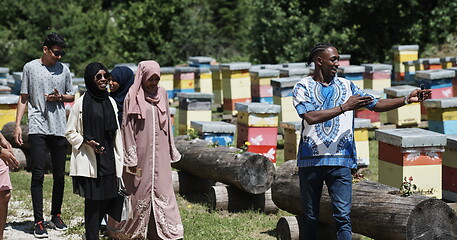 Image showing people group visiting local honey production farm