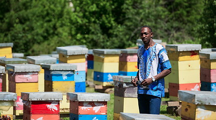 Image showing african beekeeper local black honey producer
