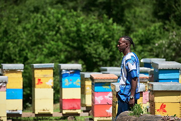 Image showing african beekeeper local black honey producer