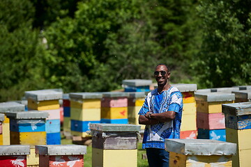 Image showing african beekeeper local black honey producer