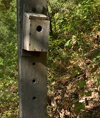 Image showing Woodland Bird House