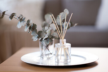 Image showing aroma reed diffuser and branches of eucalyptus