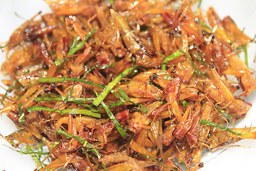 Image showing Roasted grasshopper