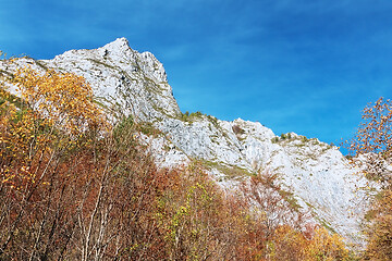 Image showing beautiful limestone ridge at Scarita Belioara
