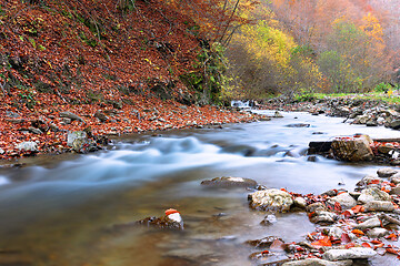 Image showing beautiful mountain river in Apuseni