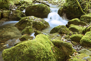 Image showing detail of mountain stream