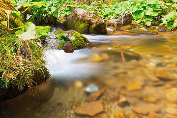 Image showing detail of mountain stream in Apuseni