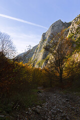 Image showing majestic limestone ridge in Apuseni