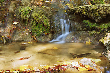Image showing detail of mountain stream in Beusnita National Park