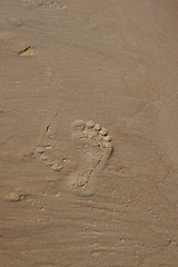 Image showing Wet sand texture