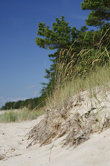 Image showing beach view