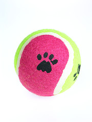 Image showing Dog Ball