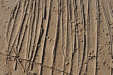 Image showing Sand texture