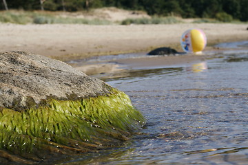 Image showing Stone on the beach