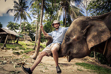 Image showing Domesticated elephant lifting a tourist with his trunk