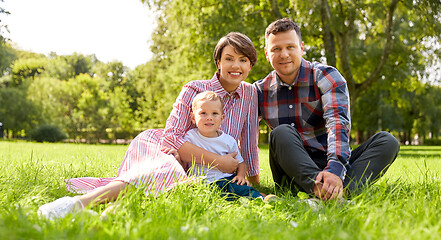 Image showing happy family at summer park sitting on grass