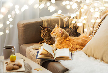 Image showing two cats lying on sofa at home