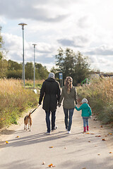 Image showing happy family walking with dog in autumn