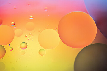 Image showing Rainbow abstract defocused background picture made with oil, water and soap