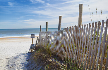 Image showing Dune Fence on the Beach