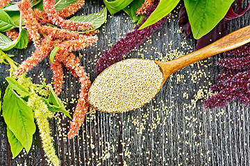 Image showing Amaranth groats in spoon on board top