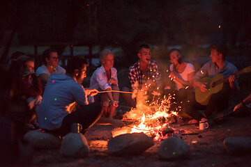 Image showing young friends relaxing around campfire