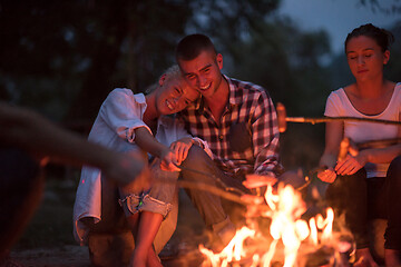 Image showing young friends relaxing around campfire