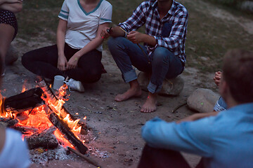 Image showing young friends relaxing around campfire