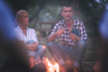 Image showing young friends relaxing around campfire