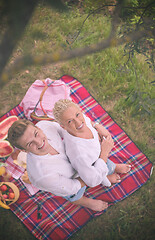 Image showing top view of couple enjoying picnic time