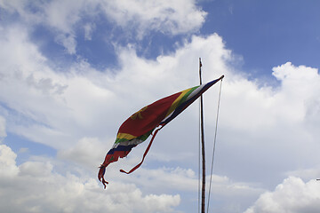 Image showing flag festival