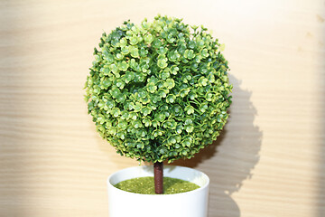 Image showing Plastic tree on table