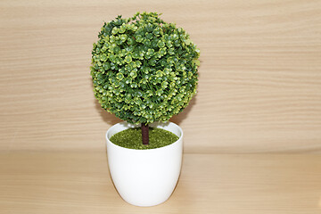 Image showing fake little tree in the vase