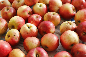 Image showing Ripe red and yellow apples