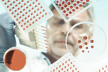 Image showing Focused senior life science professional pipetting solution into the pettri dish. Lens focus on the researcher