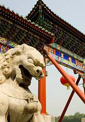 Image showing Oriental lion statue