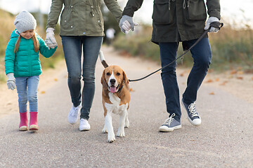 Image showing family walking with dog in autumn