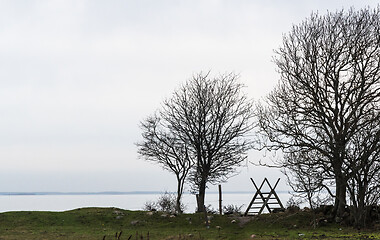 Image showing Wooden stile and tree silhouettes