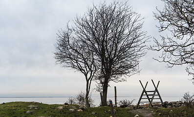 Image showing Tree silhouettes and a wooden stile