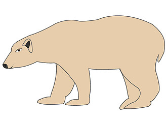 Image showing Wildlife polar bear type from the side