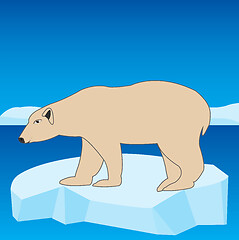 Image showing Animal polar bear on block of ice in ocean