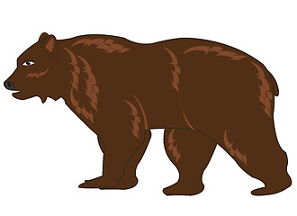 Image showing Vector illustration of the wildlife brown bear