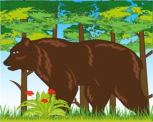 Image showing Wildlife brown bear in year wood daytime