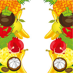 Image showing Decorative background from exotic fruit on white