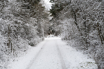 Image showing Snow covered footpath 